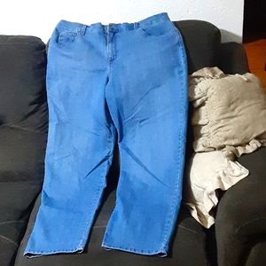 Gloria Vanderbilt Jean's